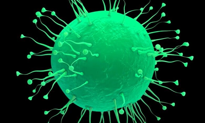 Nipah Virus