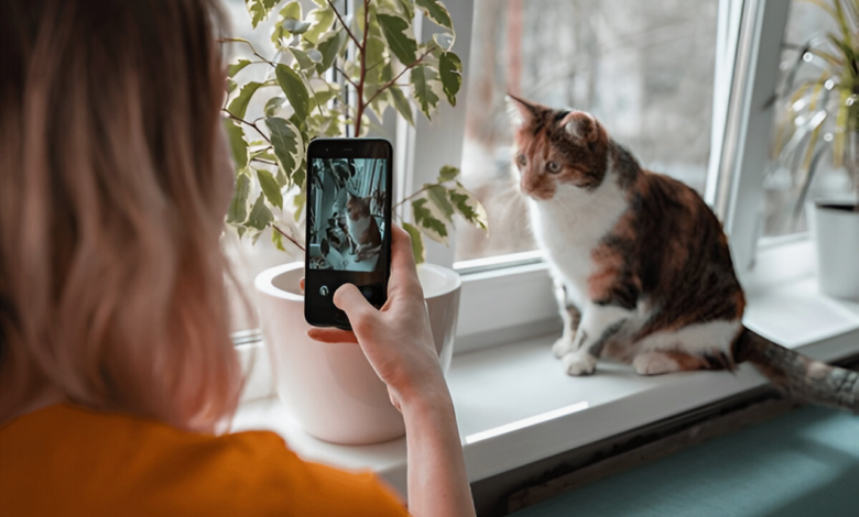 Mobile Phones for Photography