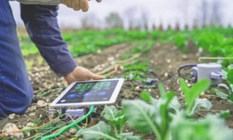 Agriculture Sector